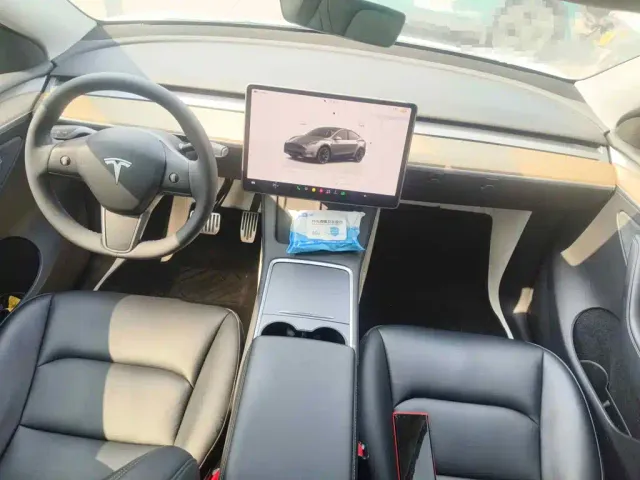 Tesla Model Y — Фото автомобиля 12