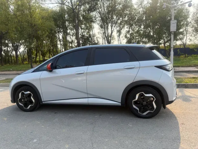 BYD Dolphin — Фото автомобиля 2