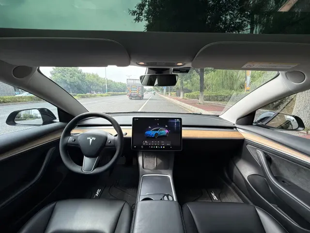 Tesla Model 3 — Фото автомобиля 15