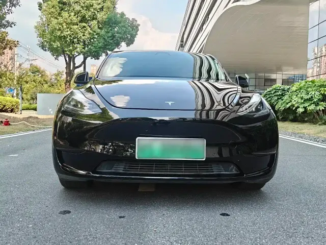 Tesla Model Y 2022 Rear-Wheel Drive Version — Фото автомобиля 2