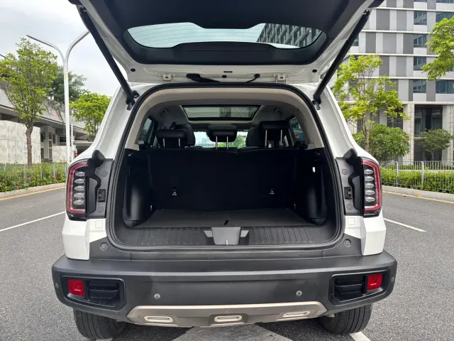 Haval Haval Big Dog 2022 1.5T DCT FWD Border Collie Edition — Фото автомобиля 15