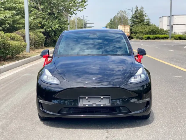 Tesla Model Y — Фото автомобиля 2