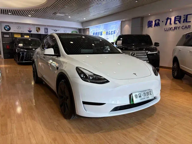 Tesla Model Y — Фото автомобиля 3
