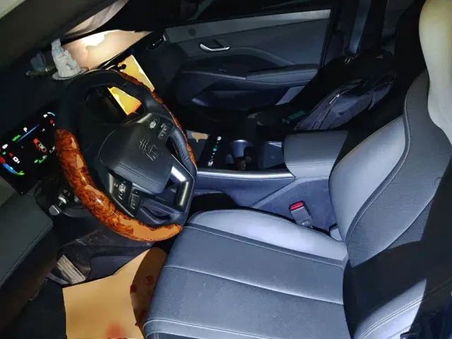 BYD Qin PLUS — Фото автомобиля 16