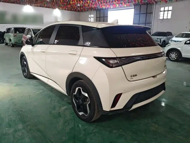 BYD Dolphin — Фото автомобиля 4
