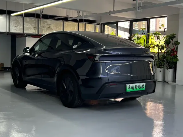 Tesla Model Y — Фото автомобиля 10