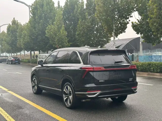 Wey Lanshan — Фото автомобиля 9
