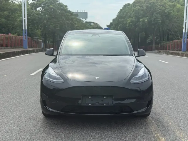 Tesla Model Y — Фото автомобиля 2