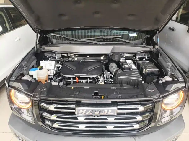 Haval Big Dog — Фото автомобиля 19