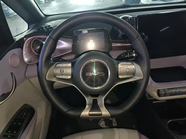 BYD Dolphin — Фото автомобиля 10