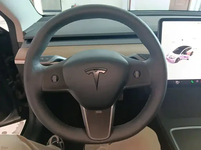 Tesla Model 3 — Фото автомобиля 10