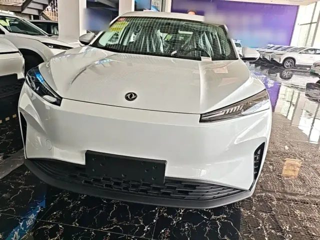 Dongfeng SKY EV01 — Фото автомобиля 2