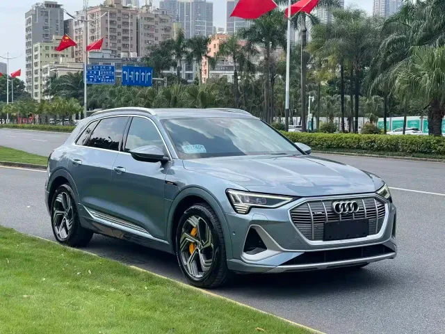 Audi Audi e-tron 2021 50 quattro Exclusive Selection — Фото автомобиля 3