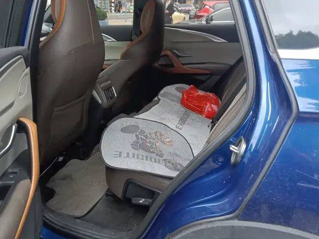 BYD Song Pro — Фото автомобиля 11