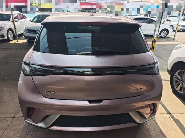 BYD Dolphin — Фото автомобиля 3