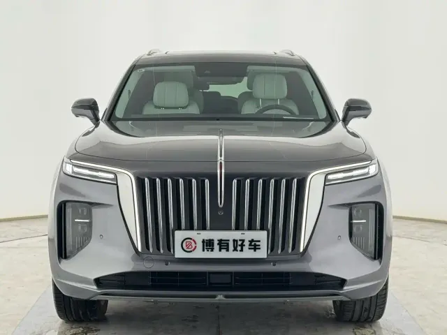 Hongqi Hongqi E-HS9 2021 460km Flagship Comfort 6-seater — Фото автомобиля 5