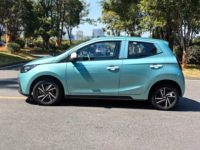 JMEV Xiaoqilin — Фото автомобиля 10