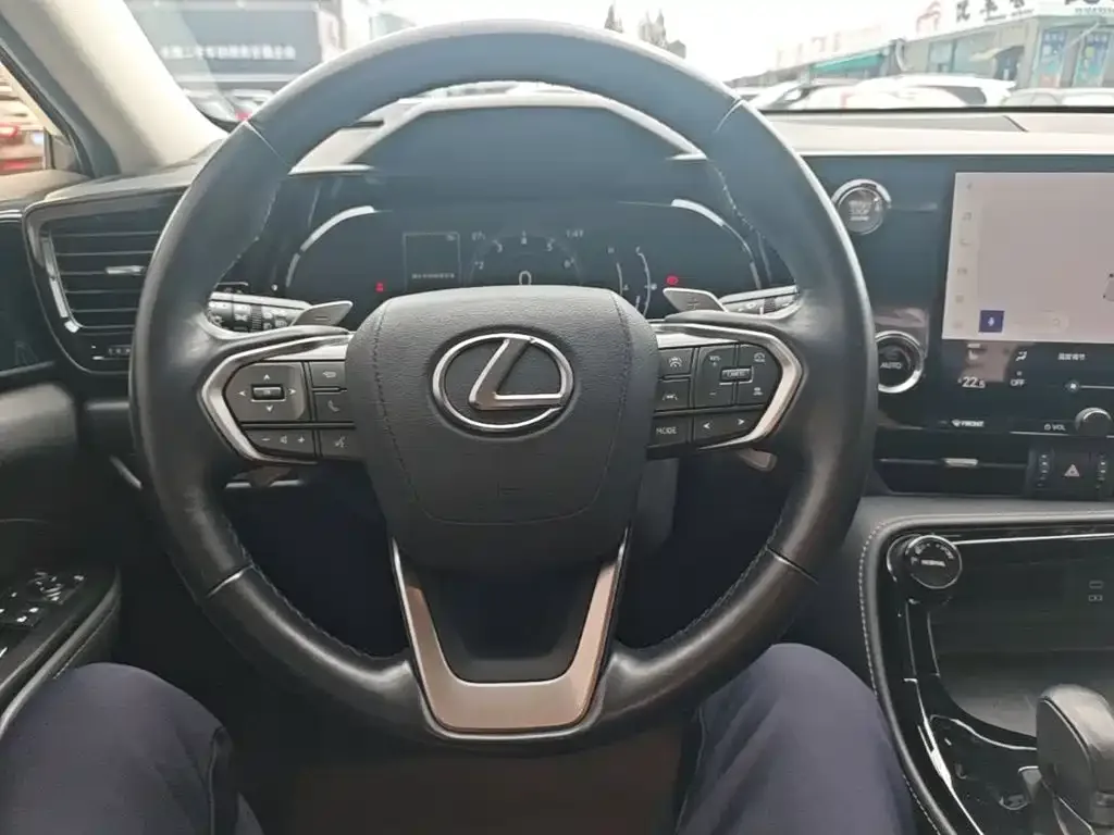 Lexus Lexus NX 2022 260 FWD Joy Creation Edition — Фото автомобиля 10