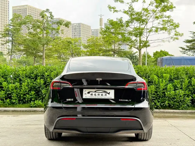 Tesla Model Y — Фото автомобиля 5