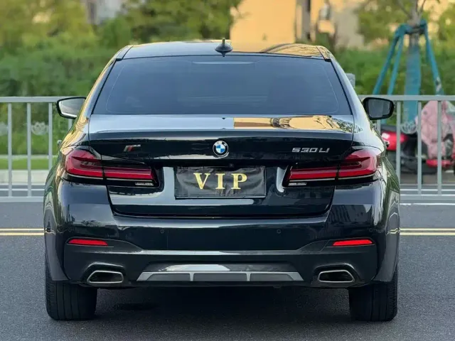 BMW 5 Series — Фото автомобиля 8