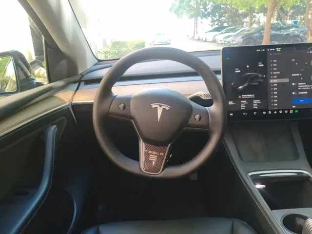 Tesla Model Y — Фото автомобиля 10