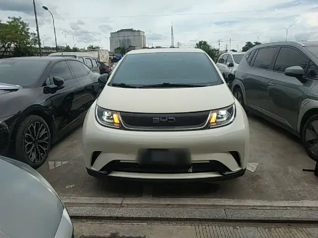 BYD Dolphin — Фото автомобиля 2