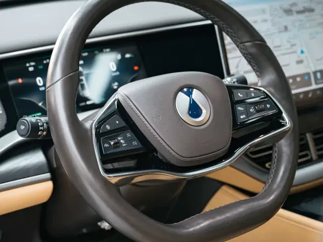 Denza D9 — Фото автомобиля 16