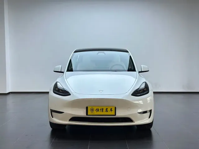Tesla Model Y — Фото автомобиля 2