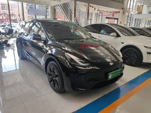 Tesla Model Y — Фото автомобиля 3