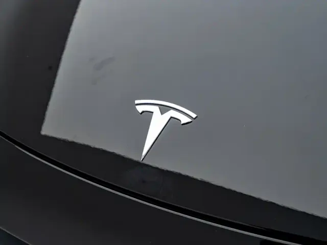 Tesla Model Y — Фото автомобиля 22