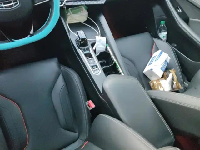 Geely Binrui — Фото автомобиля 15