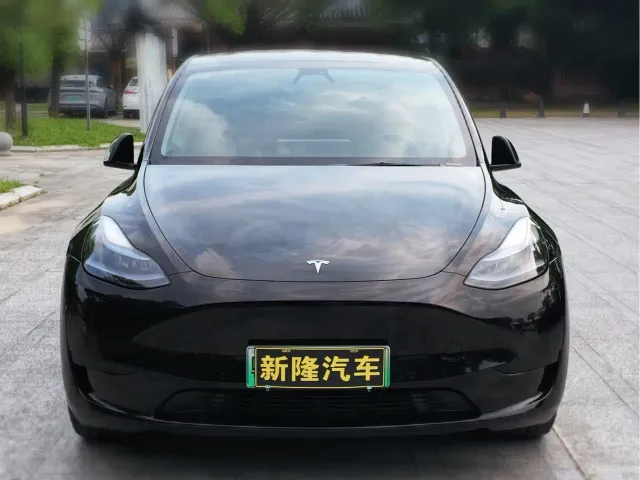 Tesla Model Y — Фото автомобиля 2