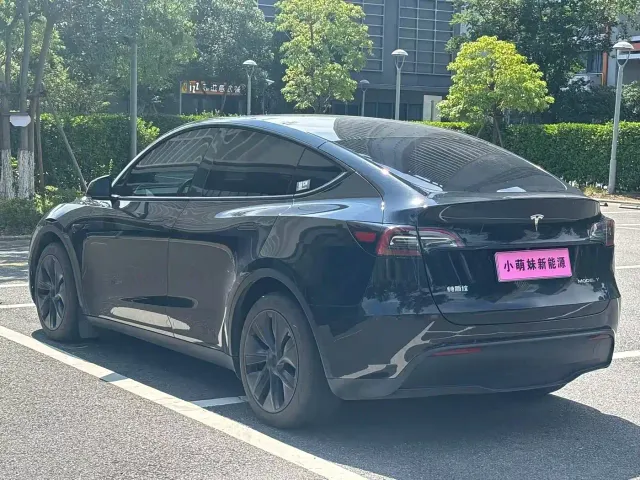 Tesla Model Y — Фото автомобиля 18