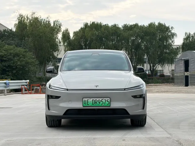 Tesla Model Y — Фото автомобиля 2