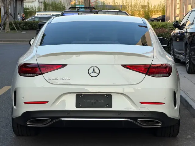 Mercedes-Benz CLS-Class — Фото автомобиля 5