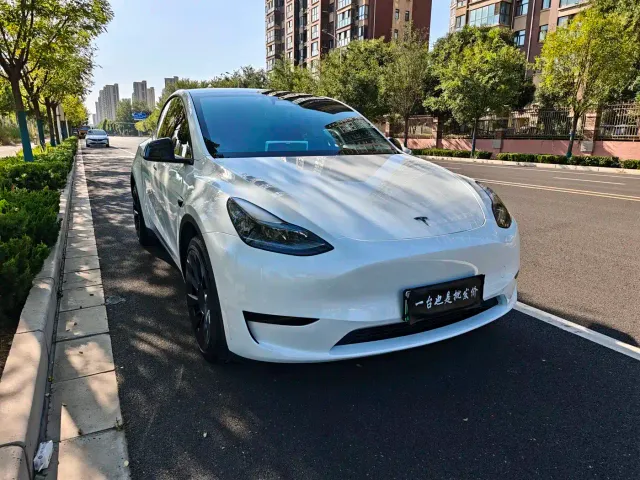 Tesla Model Y — Фото автомобиля 2