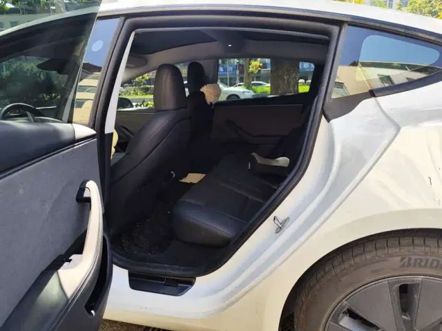 Tesla Model 3 — Фото автомобиля 6