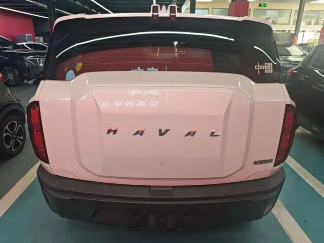 Haval Cool Dog — Фото автомобиля 5