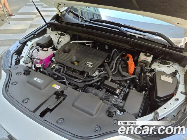 Lexus NX — Фото автомобиля 6