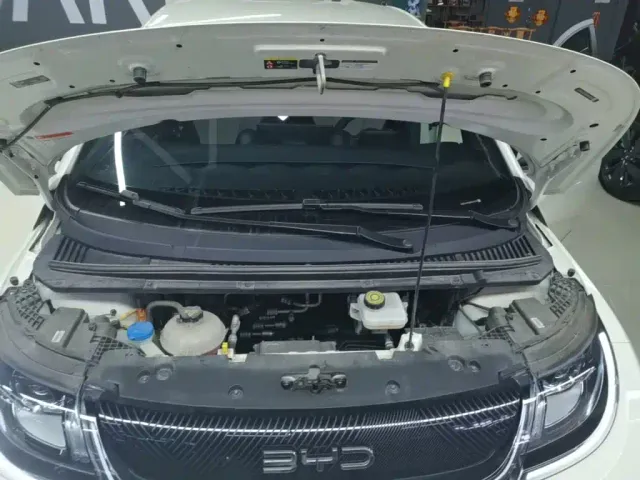 BYD Dolphin — Фото автомобиля 19