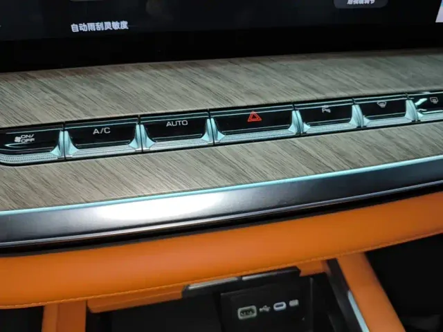 Wey Lanshan — Фото автомобиля 12