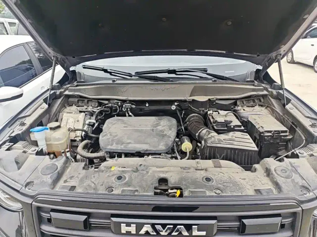 Haval Big Dog — Фото автомобиля 19