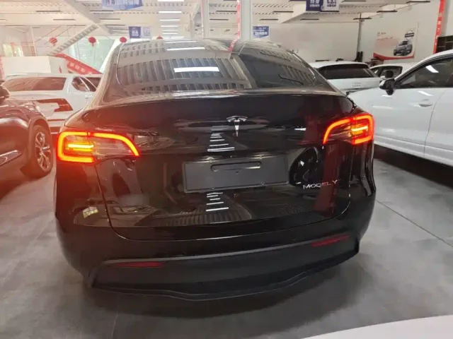 Tesla Model Y — Фото автомобиля 5