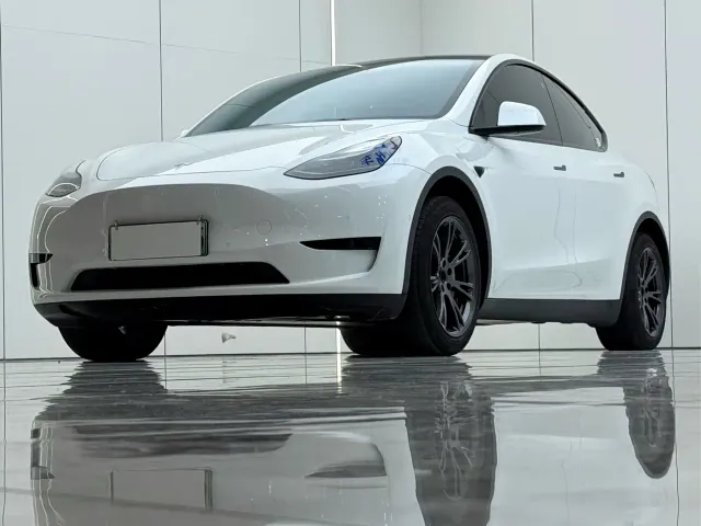 Tesla Model Y — Фото автомобиля 2