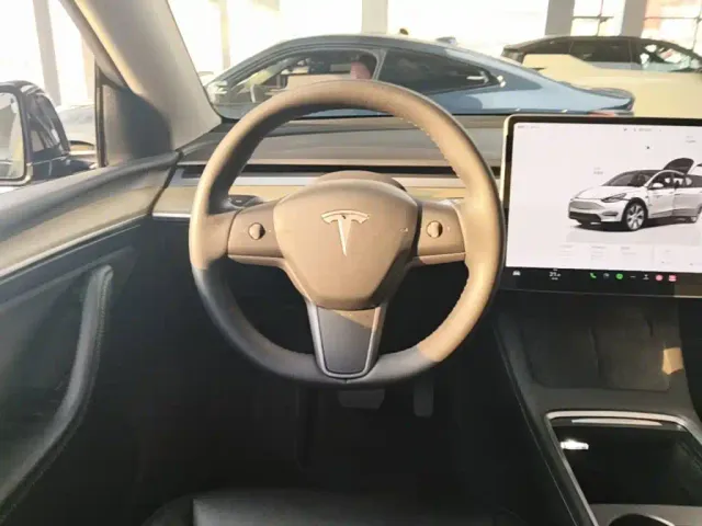 Tesla Model Y — Фото автомобиля 10