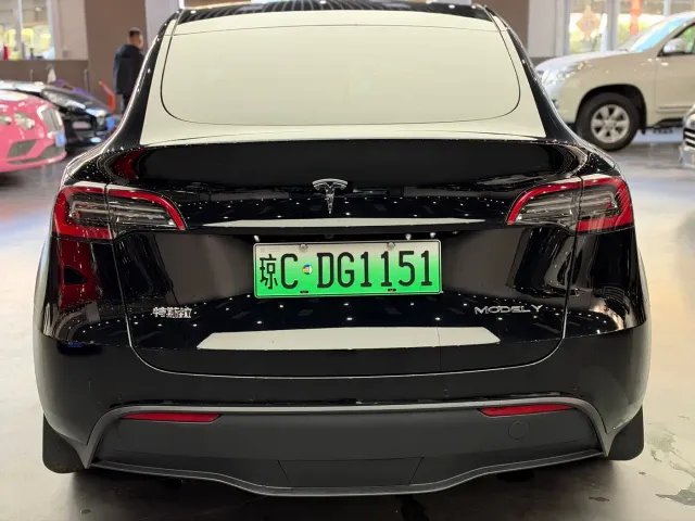Tesla Model Y — Фото автомобиля 8