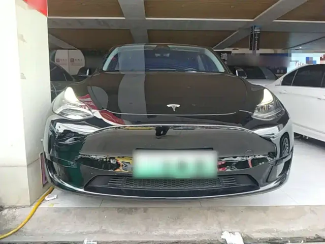 Tesla Model Y — Фото автомобиля 2