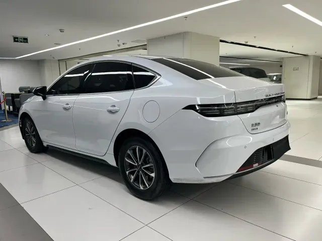 BYD Destroyer 05 — Фото автомобиля 4