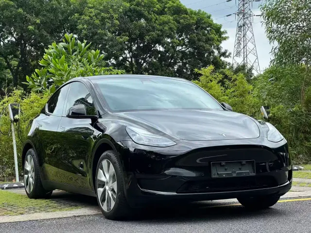 Tesla Model Y — Фото автомобиля 3