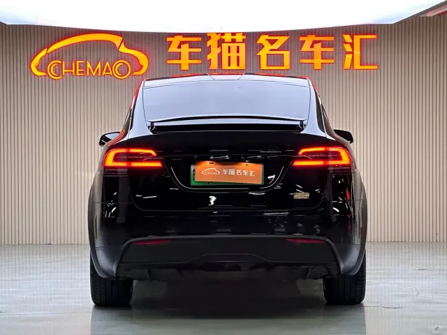 Tesla Model X — Фото автомобиля 20